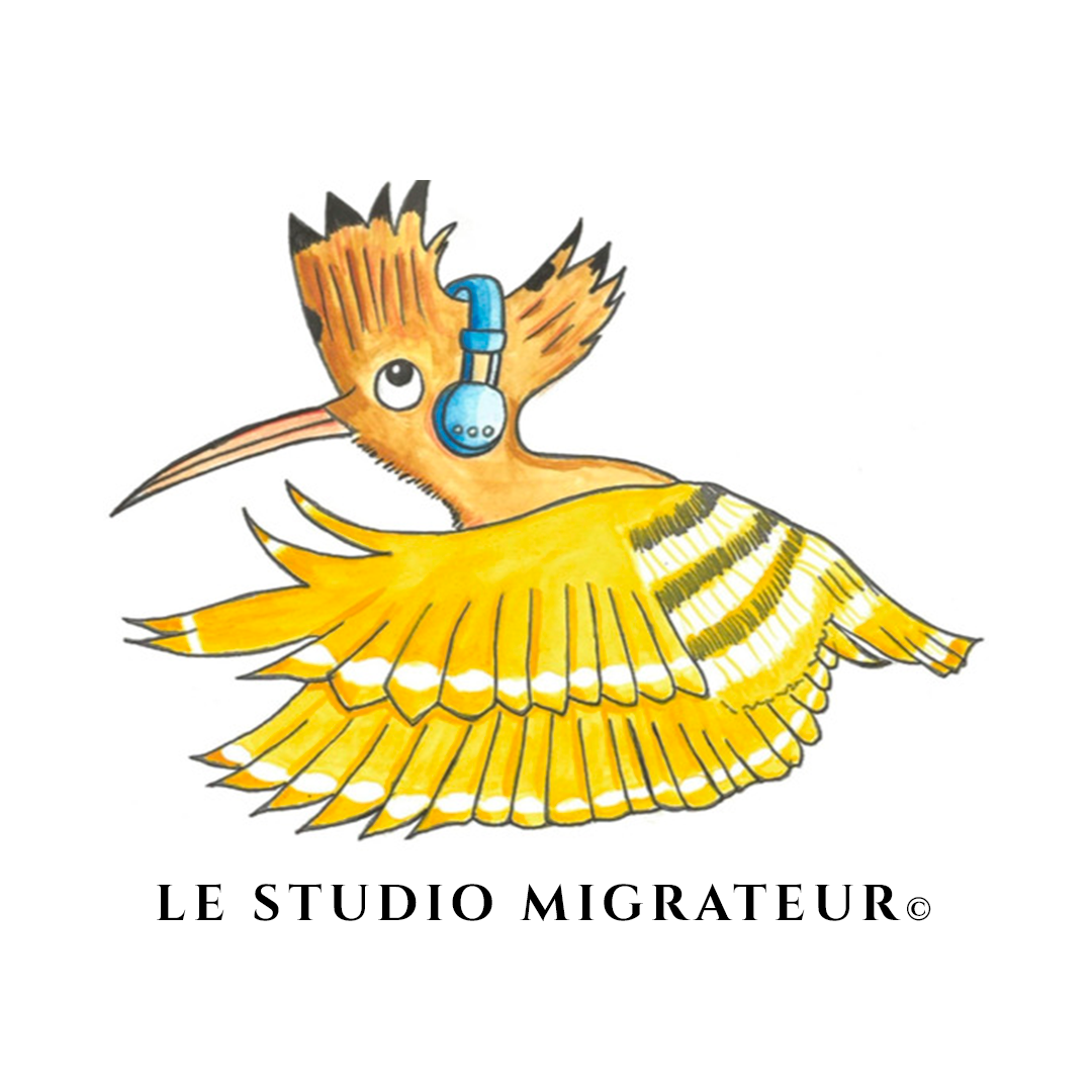 Studio Migrateur